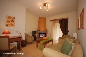 Aggelos House - Δωμάτια με τζάκι Αράχωβα